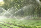 Colac Eastlandscaping-water-management-and-drainage-17.jpg; ?>